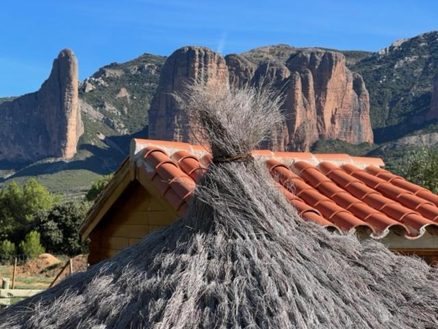 Camping Bungalows Armalygal Murillo de Gallego Luaran gambar